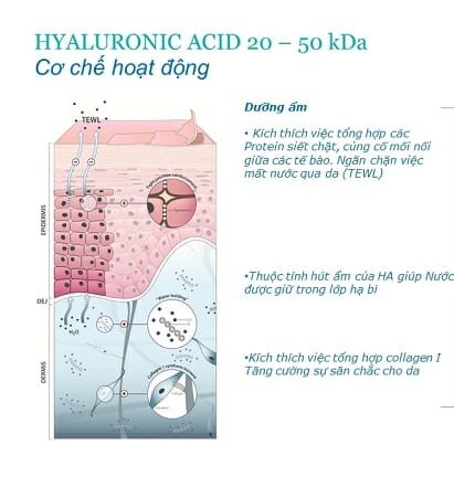 hyaluronic acid 20 50kDa serum tri mun doctor care